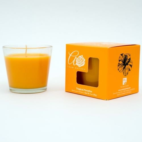 3oz Candle Tropical Paradise